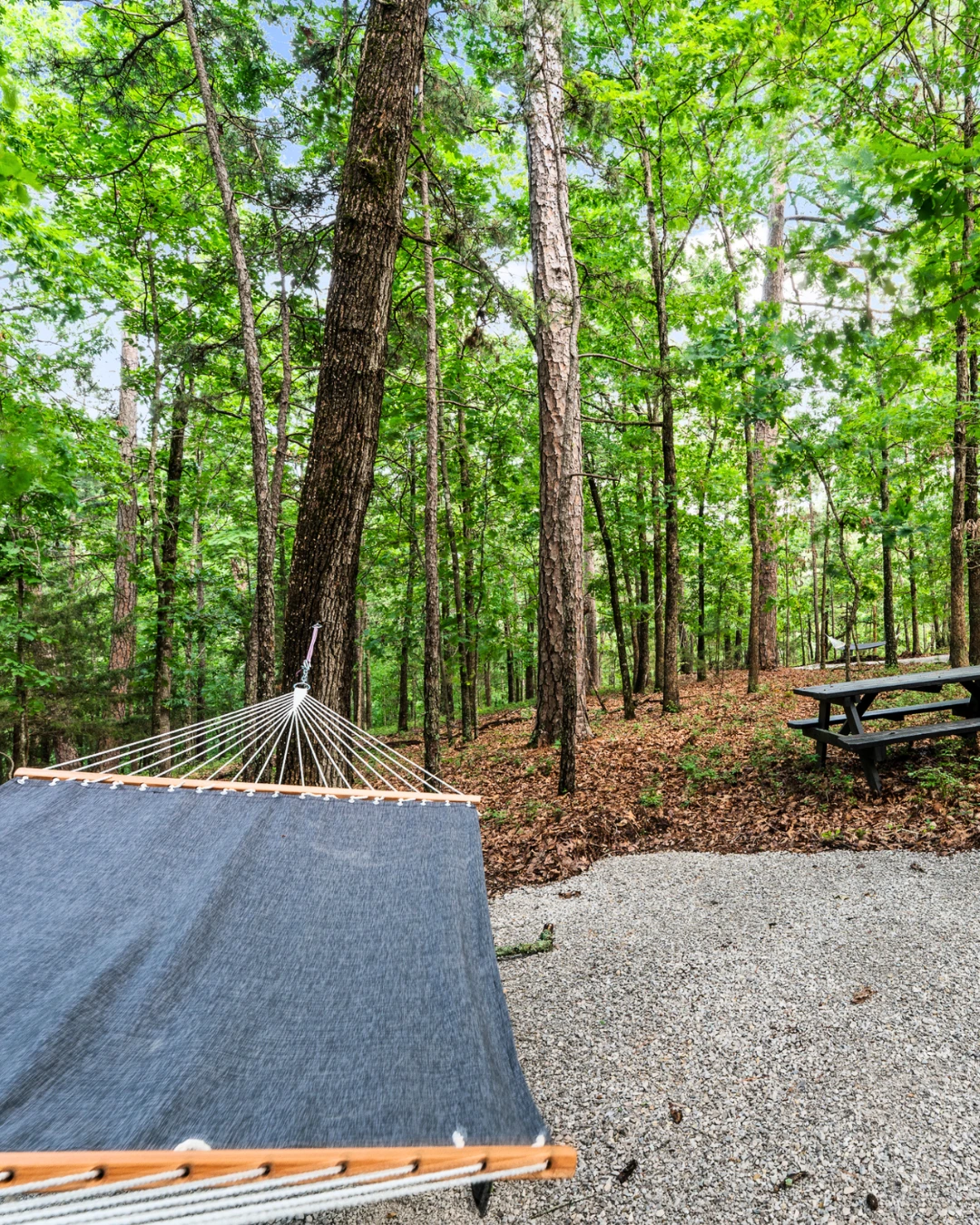 Hammock nestled in the Ozark forest for restorative rest