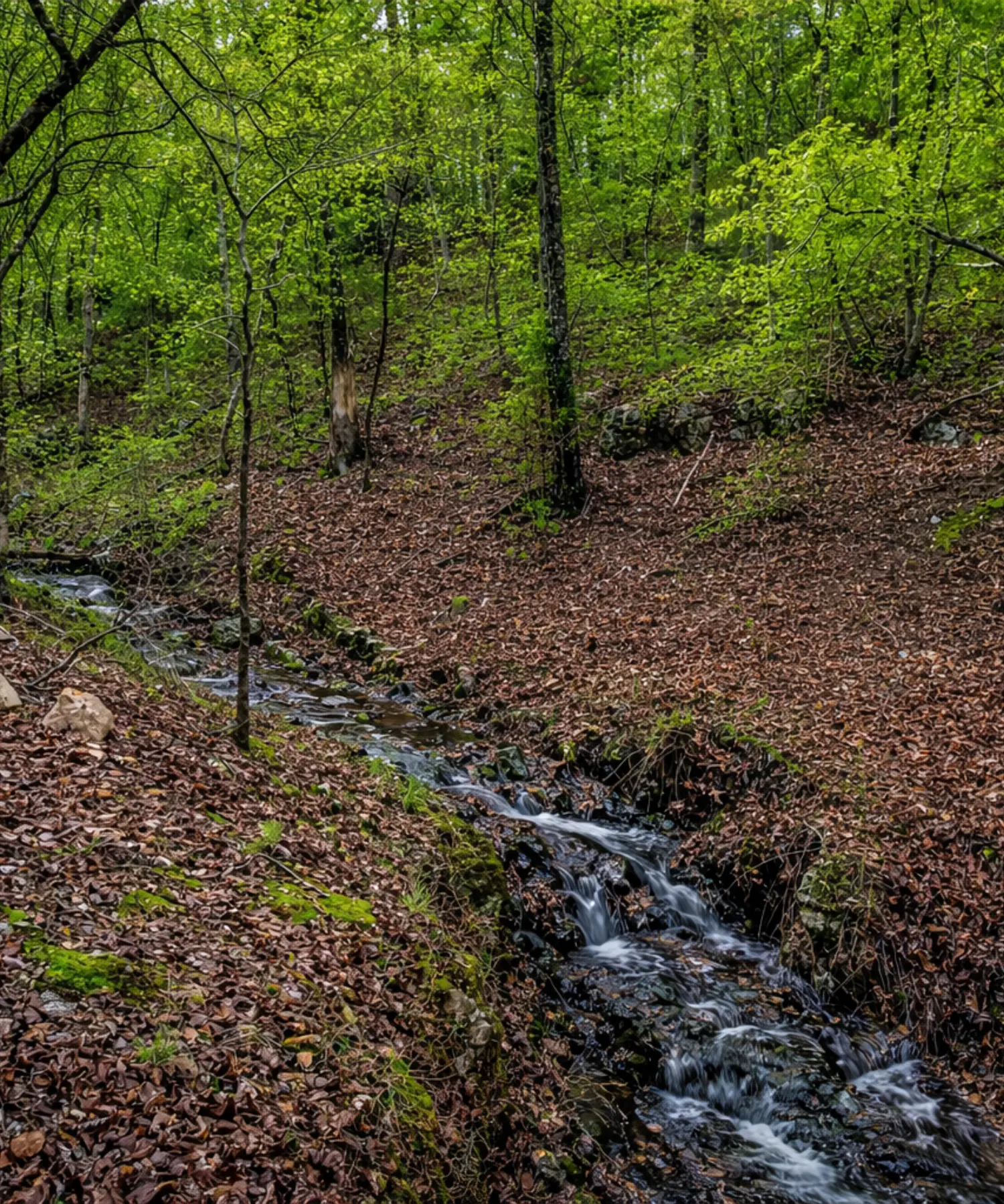 Sense of Place