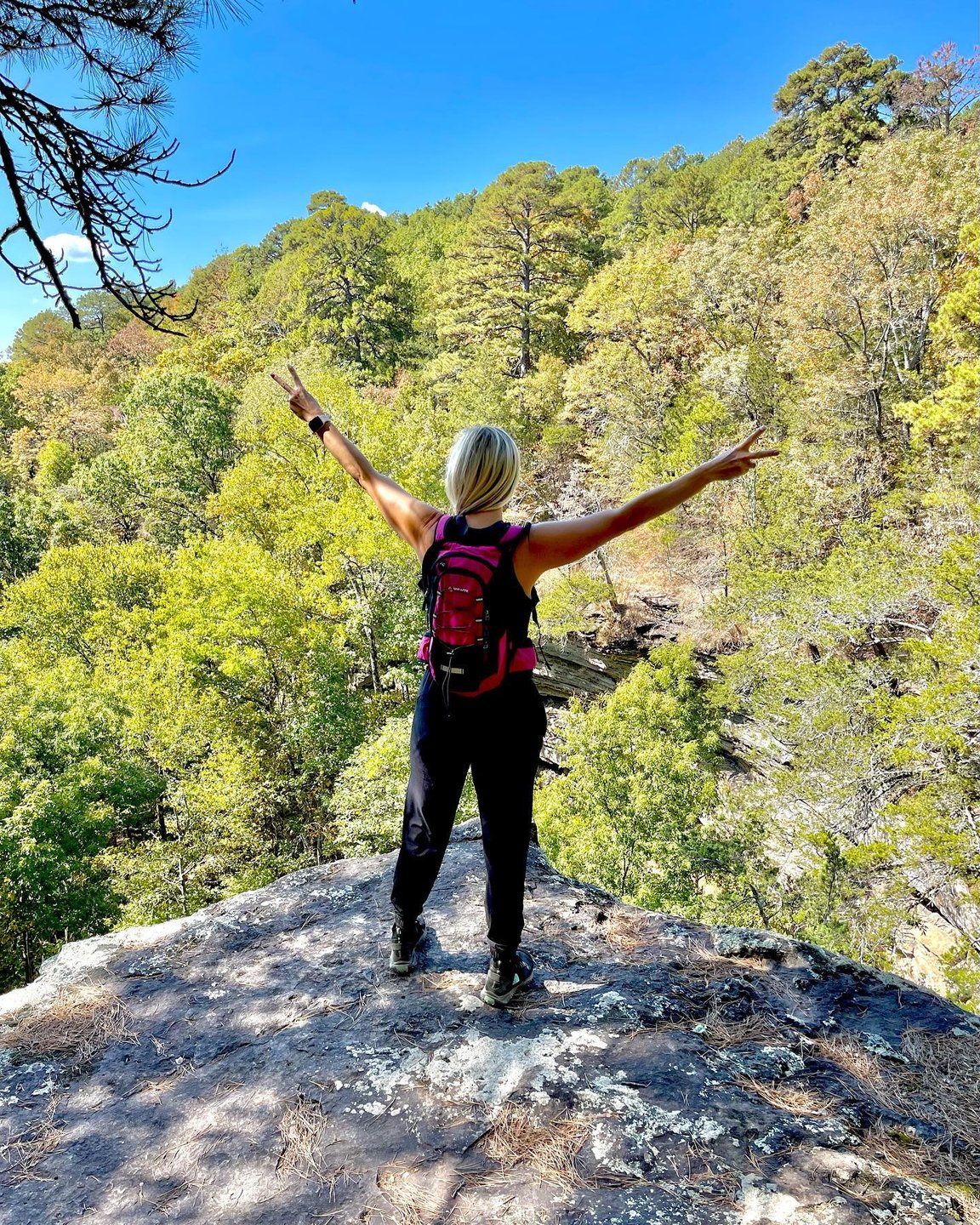 Hiker overlooking the Ozark mountains