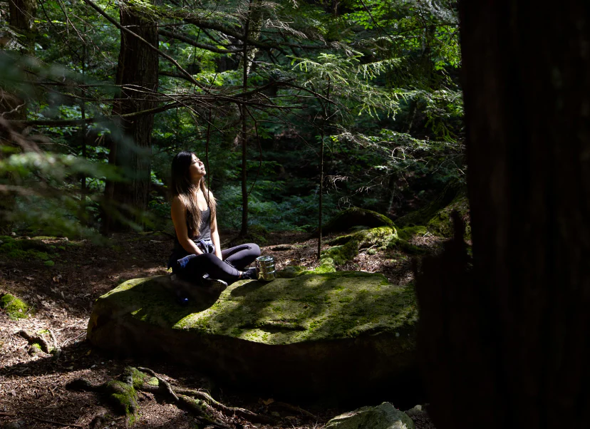 Forest immersion for nervous system reset