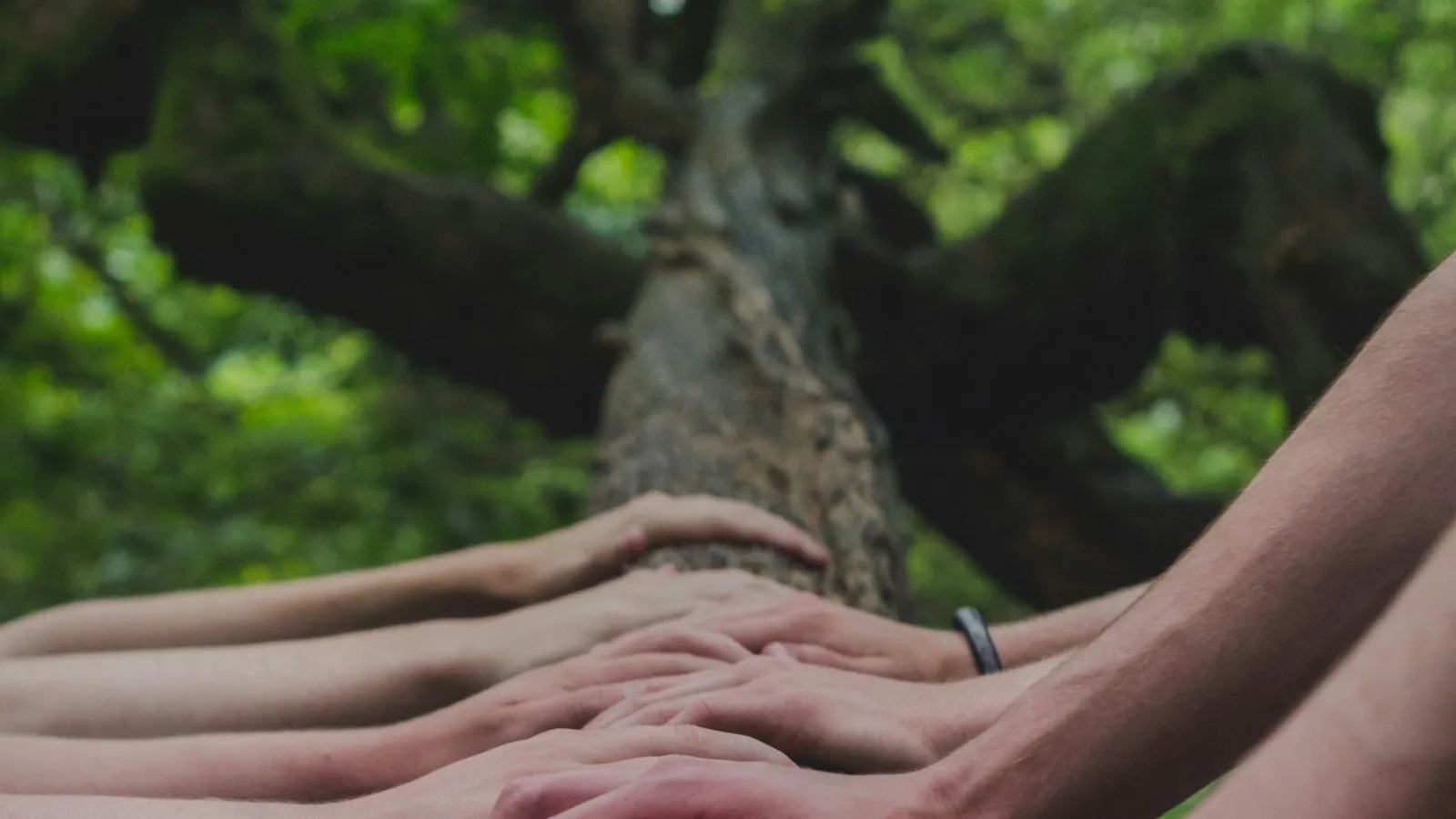 Walking through the forest for breathwork practice
