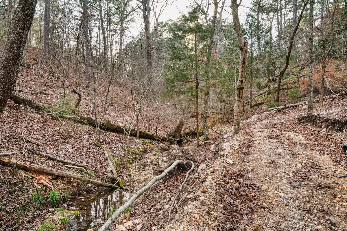 Wooded hillside trail in the Ozark forest around Eureka Springs, Arkansas