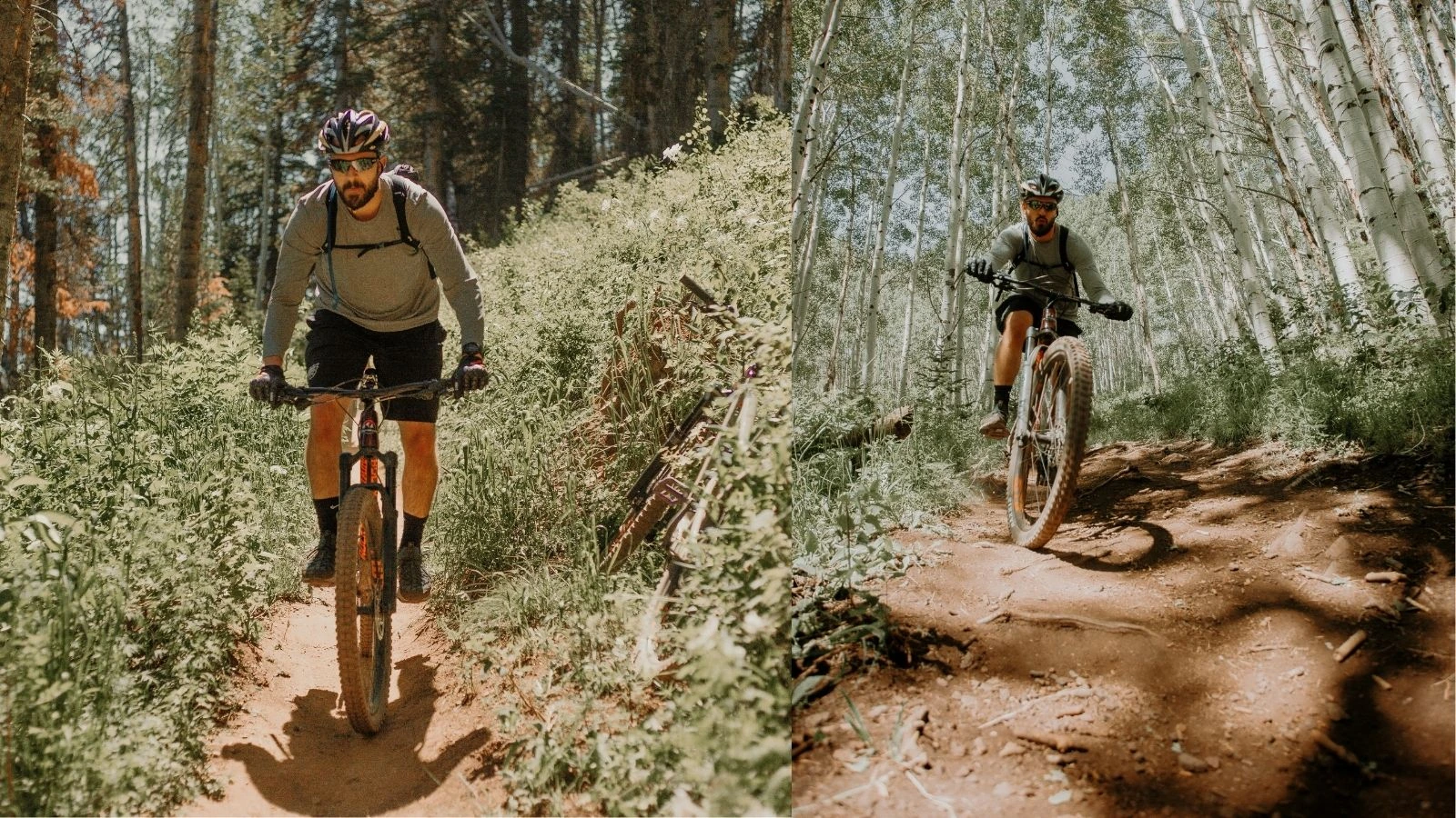 Mountain bikers riding forest singletrack trails